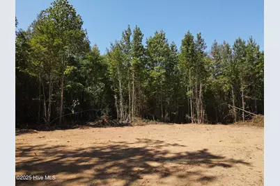 00 Alert Road, Warrenton, NC 27589 - Photo 3