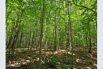 00 Alert Road, Warrenton, NC 27589 - Photo 21