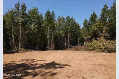 00 Alert Road, Warrenton, NC 27589 - Photo 5