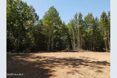 00 Alert Road, Warrenton, NC 27589 - Photo 1