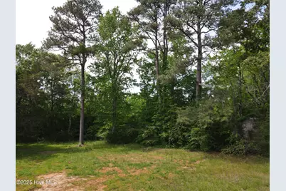 00 Alert Road, Warrenton, NC 27589 - Photo 11
