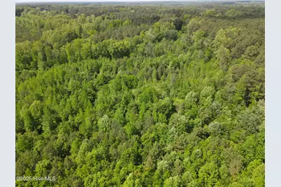 00 Alert Road, Warrenton, NC 27589 - Photo 31