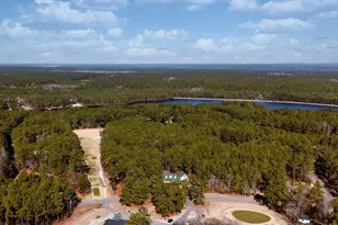 30080 Loblolly Ct, Wagram, NC 28396 - Photo 51