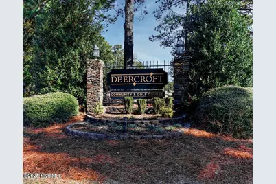30080 Loblolly Court, Wagram, NC 28396 - Photo 35