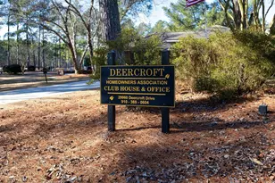 30080 Loblolly Ct, Wagram, NC 28396 - Photo 41