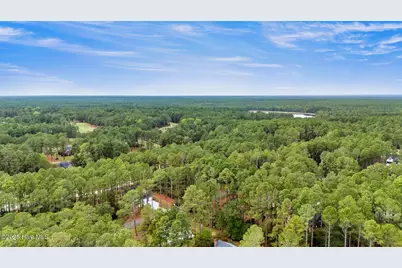 30080 Loblolly Court, Wagram, NC 28396 - Photo 51