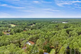 30080 Loblolly Ct, Wagram, NC 28396 - Photo 51
