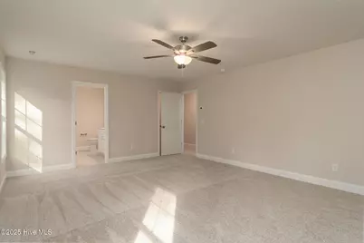 211 Brighttown Road, Maysville, NC 28555 - Photo 27