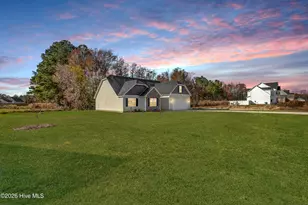 309 Cotton Hl Pl, Hubert, NC 28539 - Photo 3