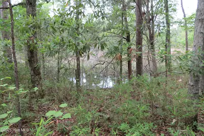 117 Shoreline Court, Oriental, NC 28571 - Photo 1