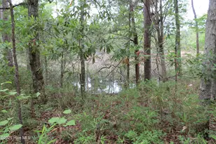 117 Shoreline Ct, Oriental, NC 28571 - Photo 1