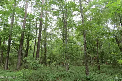 117 Shoreline Court, Oriental, NC 28571 - Photo 15