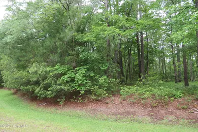 117 Shoreline Court, Oriental, NC 28571 - Photo 3