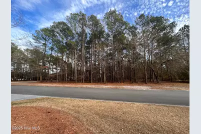 264 Red Fox Run Drive, Wallace, NC 28466 - Photo 1