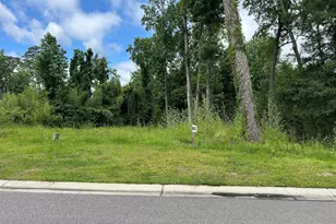 208 Preservation Pt Ave, Wilmington, NC 28401 - Photo 1