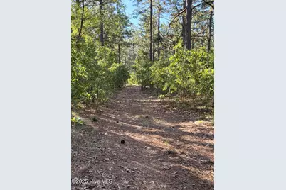 178 Laurel Oak Lane, Pinebluff, NC 28373 - Photo 5