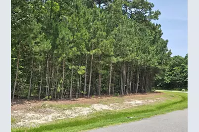 66 Standard Bred Way, Hertford, NC 27944 - Photo 5