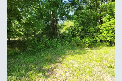 Lot 0 State Hwy 210, Hampstead, NC 28443 - Photo 7