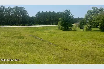 118 Pond Brothers Road, Hamlet, NC 28345 - Photo 3