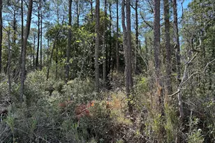 7580 Plantation Rd, Wilmington, NC 28405 - Photo 1