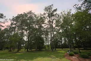 741 Highgate Pl SW, Ocean Isle Beach, NC 28469 - Photo 1