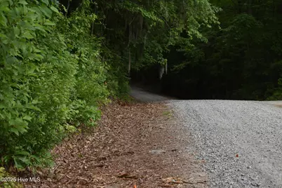Lots 2 & 3 River Road, Blounts Creek, NC 27814 - Photo 3