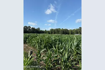 Near 8745 Swamp Fox Highway E, Tabor City, NC 28463 - Photo 13