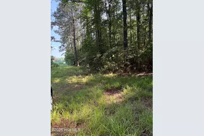 Near 8745 Swamp Fox Highway E, Tabor City, NC 28463 - Photo 9