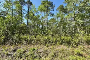 308 Plantation Rd, Wilmington, NC 28411 - Photo 1