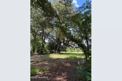 5369 Dilda Church Road, Fountain, NC 27829 - Photo 41