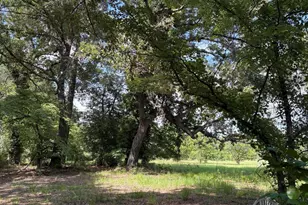 5369 Dilda Church Rd, Fountain, NC 27829 - Photo 41