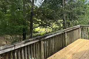 5369 Dilda Church Rd, Fountain, NC 27829 - Photo 21