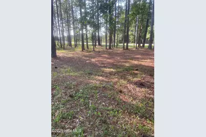 949 Fifty Lakes Drive, Southport, NC 28461 - Photo 57