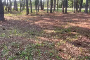 949 Fifty Lakes Dr, Southport, NC 28461 - Photo 57