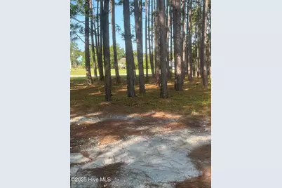 949 Fifty Lakes Drive, Southport, NC 28461 - Photo 59