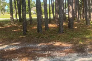 949 Fifty Lakes Dr, Southport, NC 28461 - Photo 59