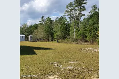16369 Palmer Road, Marston, NC 28363 - Photo 11