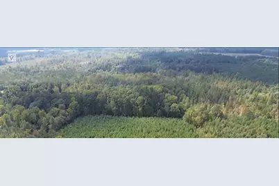 16369 Palmer Road, Marston, NC 28363 - Photo 3
