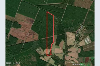 Tract 1 Barbee Road, Richlands, NC 28574 - Photo 3