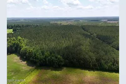 Tract 1 Barbee Road, Richlands, NC 28574 - Photo 9