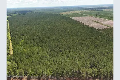 Tract 1 Barbee Road, Richlands, NC 28574 - Photo 15