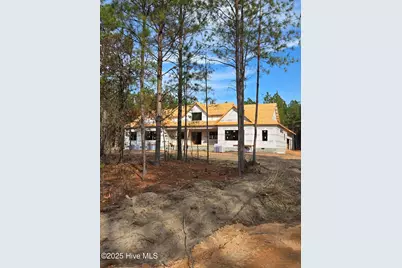 110 Lighterknot Lane, West End, NC 27376 - Photo 25