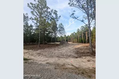 110 Lighterknot Lane, West End, NC 27376 - Photo 15