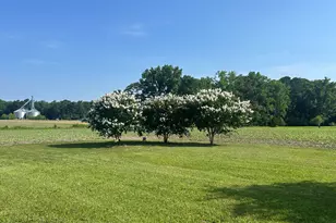 436 Nc 11 Bypass S, Lewiston Woodville, NC 27849 - Photo 49
