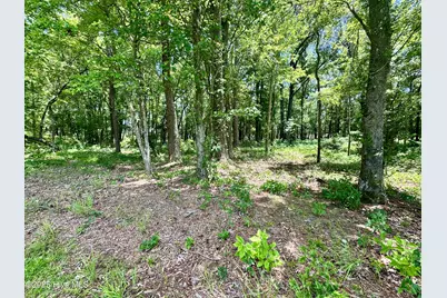 Lot 70 Winfield Lane, Belhaven, NC 27810 - Photo 11