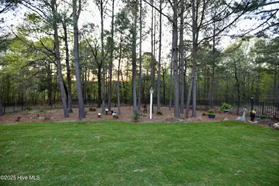 6680 Beulah Hill Church Road, West End, NC 27376 - Photo 115