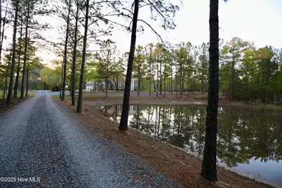 6680 Beulah Hill Church Road, West End, NC 27376 - Photo 17