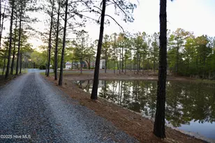 6680 Beulah Hill Church Rd, West End, NC 27376 - Photo 17