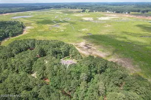 1064 Tresses Ct, Vass, NC 28394 - Photo 47