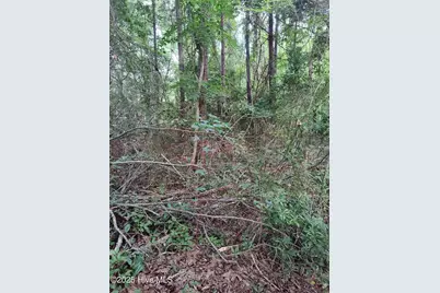 106 Taylor Lane, Hubert, NC 28539 - Photo 1